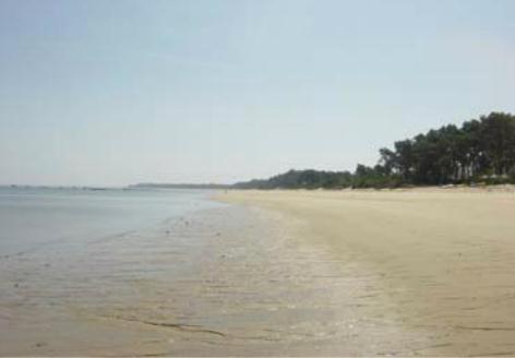 Hotel Soltroia - Foz Do Sado ภายนอก รูปภาพ